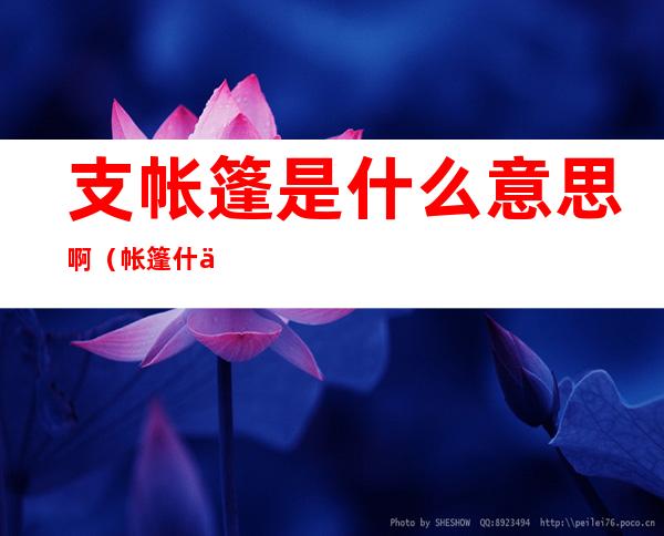 支帐篷是什么意思啊(帐篷 什么意思)