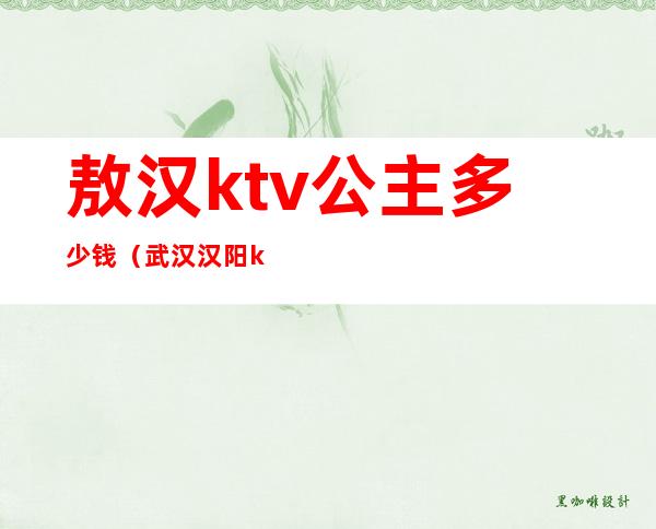 敖汉ktv公主多少钱(武汉汉阳ktv)