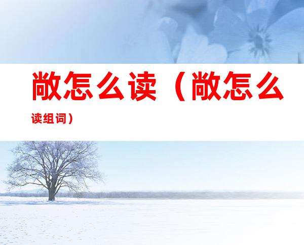 敞怎么读(敞怎么读组词)