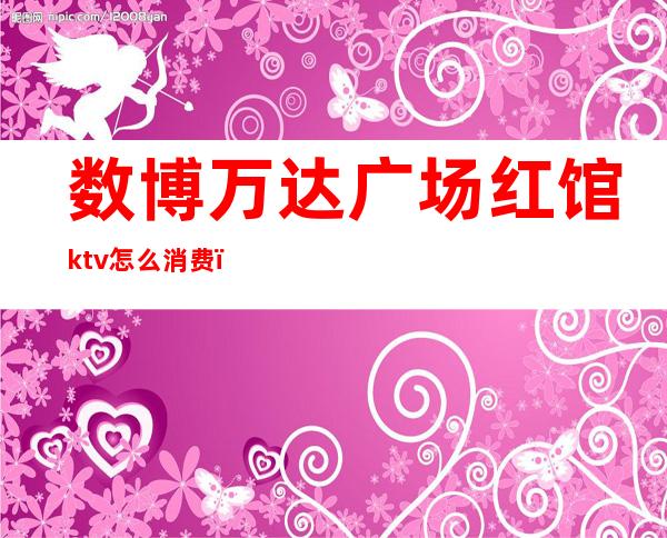 数博万达广场红馆ktv怎么消费(数博万达红馆KTV)