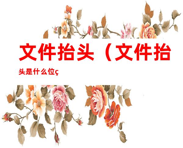 文件抬头(文件抬头是什么位置)