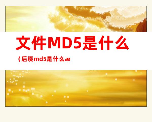 文件MD5是什么(后缀md5是什么文件)