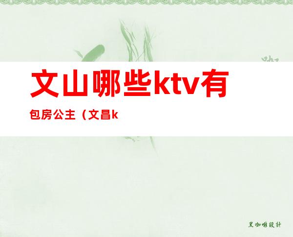 文山哪些ktv有包房公主(文昌ktv公主)