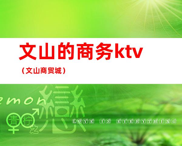 文山的商务ktv(文山商贸城)
