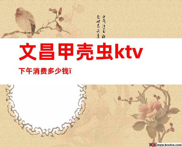 文昌甲壳虫ktv下午消费多少钱（文昌宝岛甲壳虫KTV）