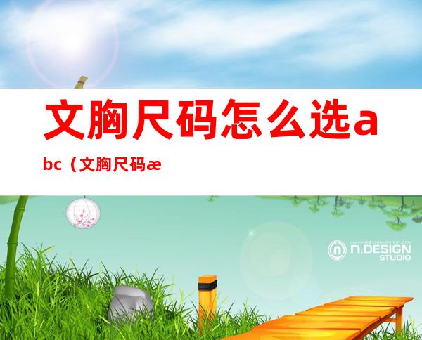 文胸尺码怎么选abc(文胸尺码怎么选择)