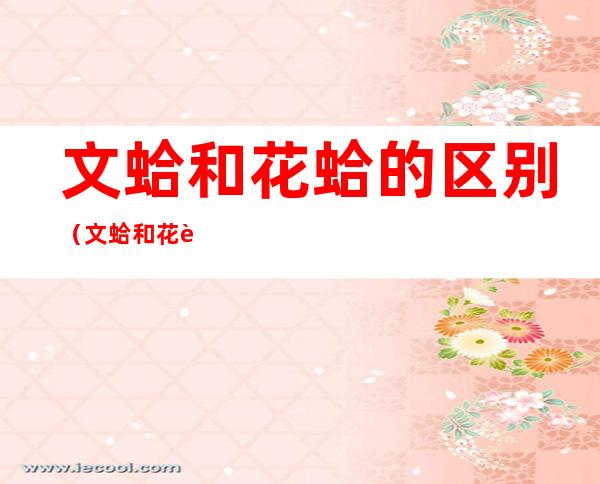 文蛤和花蛤的区别(文蛤和花蛤的区别补肾)