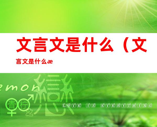 文言文是什么（文言文是什么样的文章）