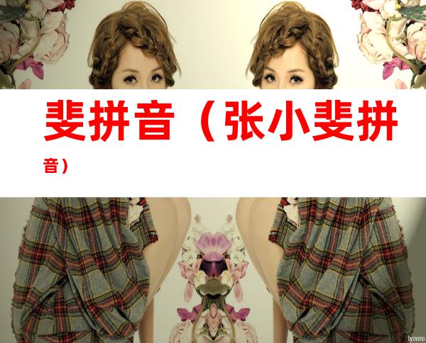 斐拼音（张小斐拼音）