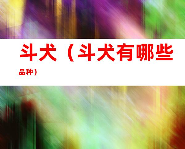 斗犬(斗犬有哪些品种)
