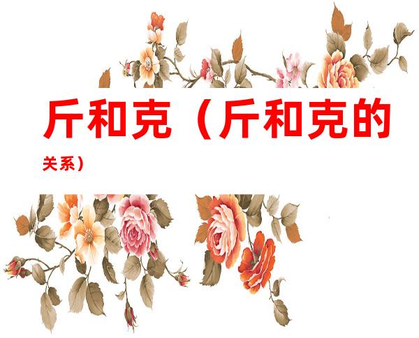 斤和克(斤和克的关系)