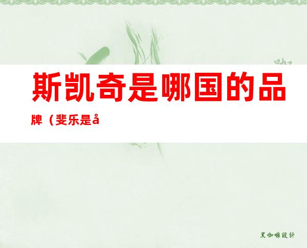斯凯奇是哪国的品牌（斐乐是哪国的品牌）