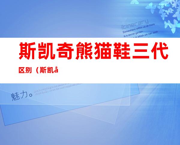斯凯奇熊猫鞋三代区别(斯凯奇熊猫鞋二代和三代区别)