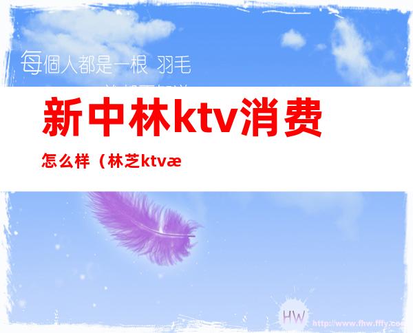 新中林ktv消费怎么样(林芝ktv消费怎么样)