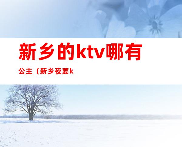 新乡的ktv哪有公主(新乡夜宴ktv公主多少钱)