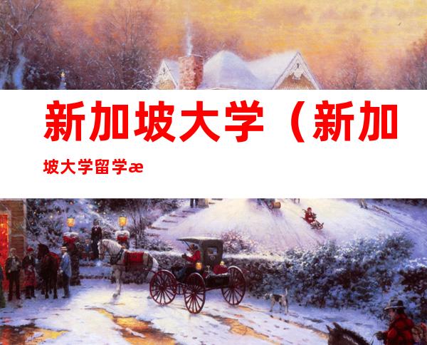 新加坡大学(新加坡大学留学条件及费用)