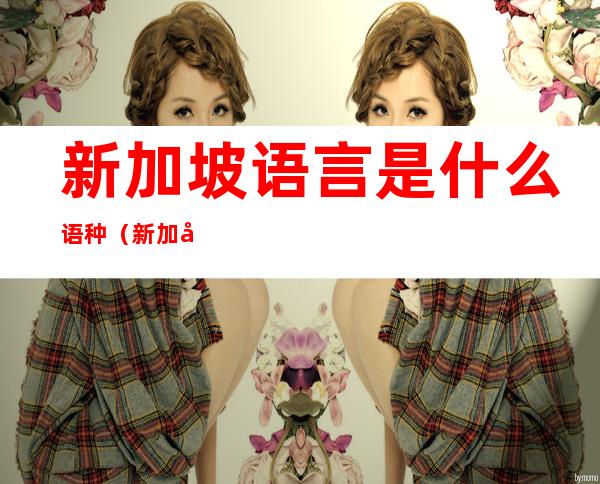 新加坡语言是什么语种(新加坡语言是汉语吗)