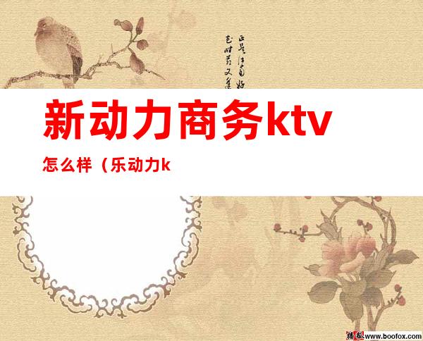新动力商务ktv怎么样(乐动力ktv怎么样)