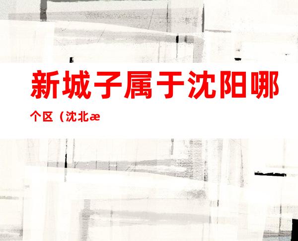 新城子属于沈阳哪个区(沈北新区和新城子区一个地方)