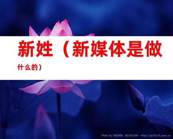 新姓(新媒体是做什么的)