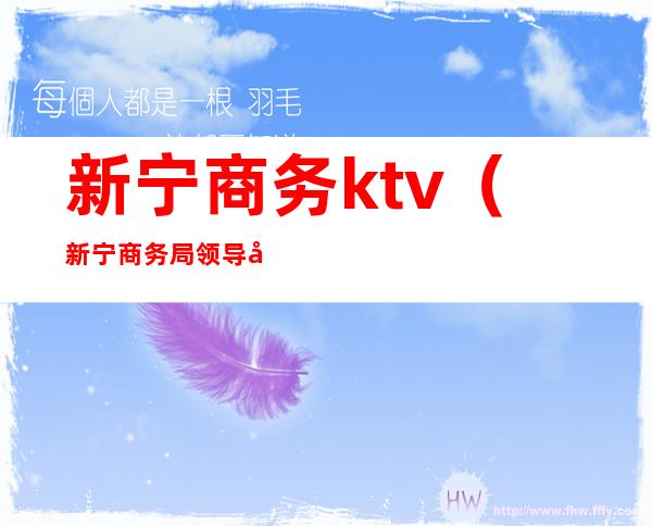 新宁商务ktv（新宁商务局领导分工）
