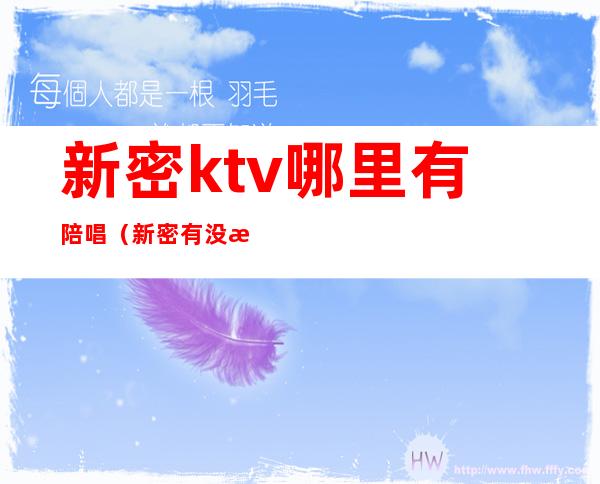 新密ktv哪里有陪唱（新密有没有带陪唱的KTV）