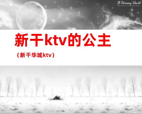 新干ktv的公主(新干华城ktv)