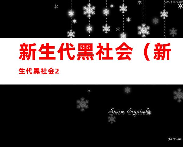新生代黑社会（新生代黑社会2）