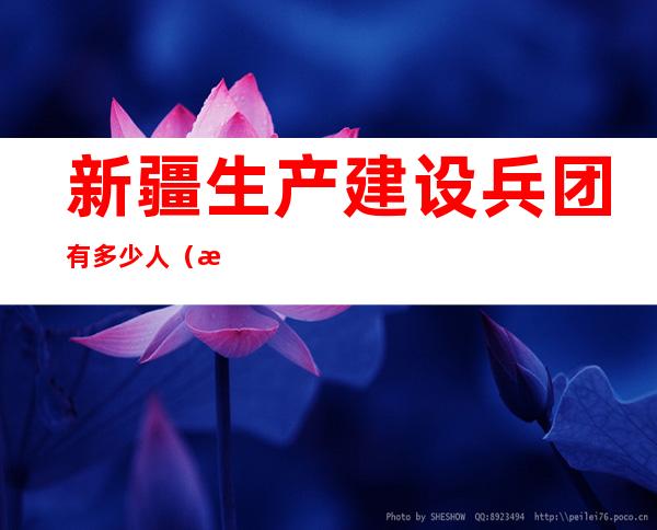新疆生产建设兵团有多少人(新疆生产建设兵团有多少人数)