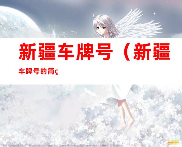 新疆车牌号(新疆车牌号的简称)