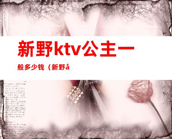 新野ktv公主一般多少钱(新野哪个ktv有陪唱多少钱)