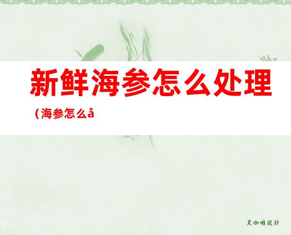 新鲜海参怎么处理(海参怎么处理干净)
