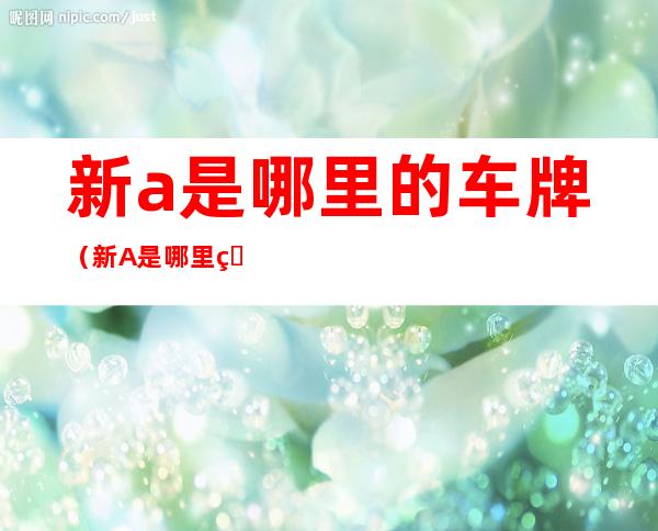 新a是哪里的车牌(新A是哪里的车牌代码)