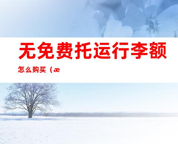 无免费托运行李额怎么购买(无免费托运行李额怎么托运)