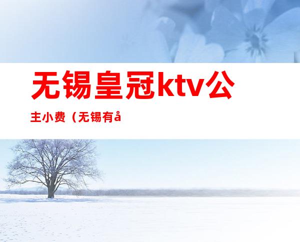 无锡皇冠ktv公主小费(无锡有公主的ktv)
