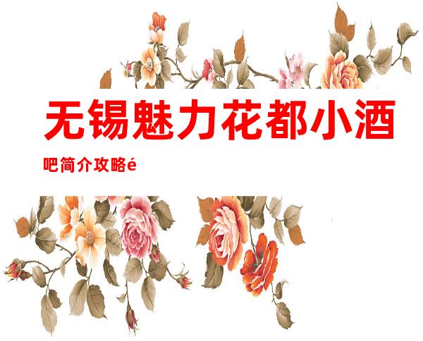 无锡魅力花都小酒吧简介攻略/魅力花都包厢怎么预定。