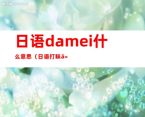 日语damei什么意思(日语打眛什么意思)