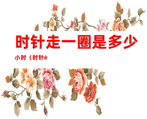 时针走一圈是多少小时(时针走一圈是多少小时分针走一圈是多少小时)