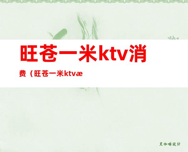 旺苍一米ktv消费(旺苍一米ktv消费怎么样)