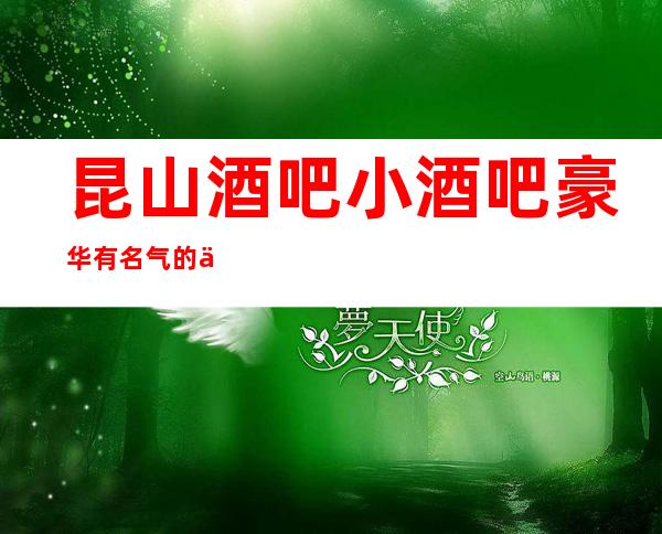 昆山酒吧小酒吧豪华有名气的会所预定