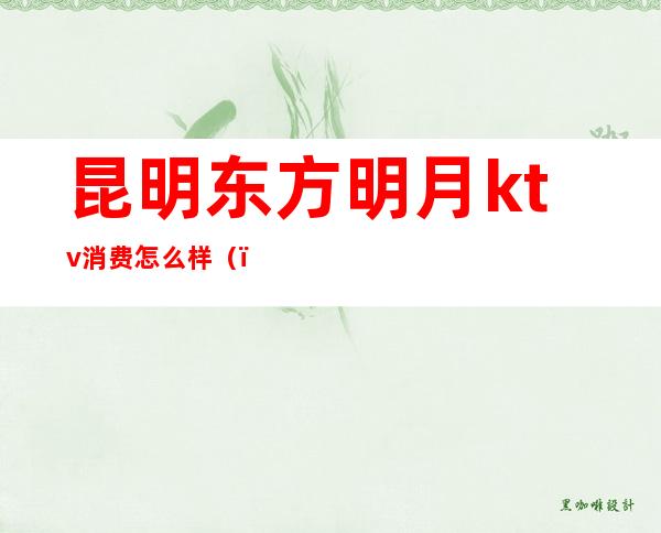 昆明东方明月ktv消费怎么样（）