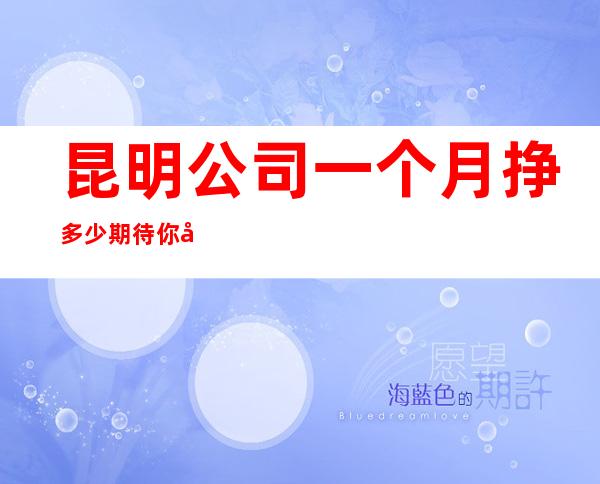 昆明公司一个月挣多少期待你加入最强团队