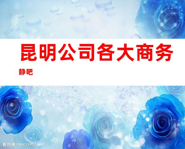 昆明公司/各大商务静吧