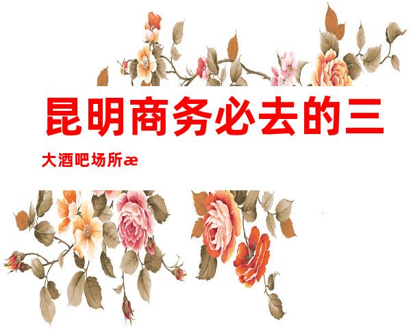 昆明商务必去的三大酒吧场所更高消费介绍预订