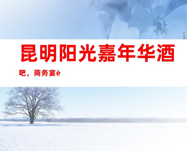 昆明阳光嘉年华酒吧,商务宴请招待客户的好地方