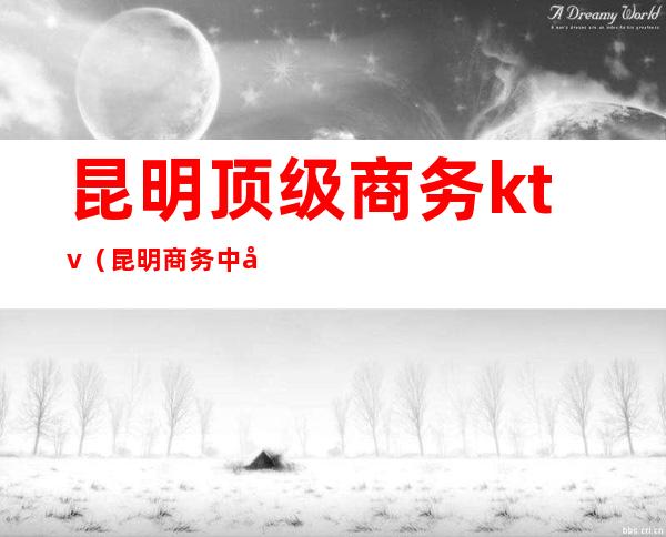 昆明顶级商务ktv（昆明商务中心）