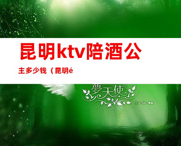 昆明ktv陪酒公主多少钱(昆明陪酒多少钱一个)