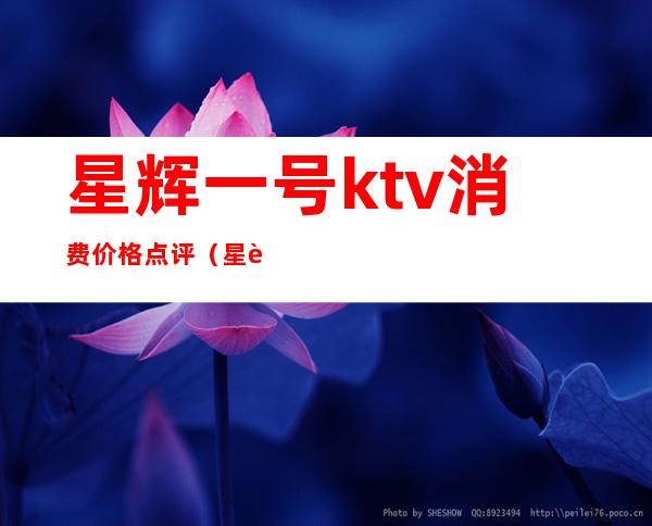 星辉一号ktv消费价格点评(星辉ktv在哪里)