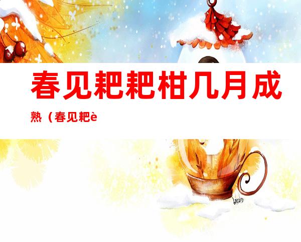 春见耙耙柑几月成熟(春见耙耙柑几月份上市的)