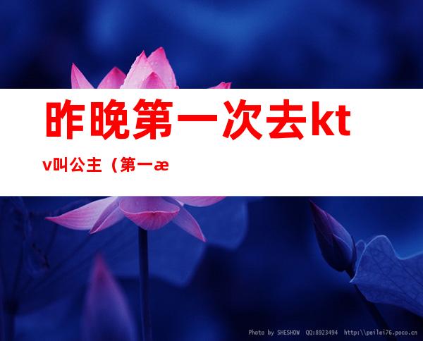 昨晚第一次去ktv叫公主(第一次去KTV耍公主)